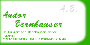 andor bernhauser business card